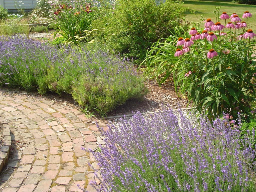 Stephen Clay Homestead Bed And Breakfast Candia Luaran gambar